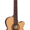 PRO MUSIC Takamine Thinline Series AC/EL Nylon String Guitar With Cutaway