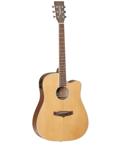 National Tanglewood TW10 Winterleaf Dreadnought C/E Acoustic Steel String