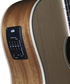 National Tanglewood TW10 Winterleaf Dreadnought C/E Acoustic Steel String