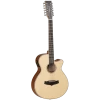 National Tanglewood TW12CE Winterleaf Super Folk C/E 12-String Steel String