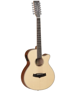 National Tanglewood TW12CE Winterleaf Super Folk C/E 12-String Steel String