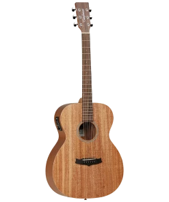 National Tanglewood TW2E Winterleaf Orchestra With Case