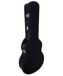 National Tanglewood TW2E Winterleaf Orchestra With Case