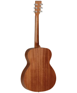 National Tanglewood TW2E Winterleaf Orchestra With Case