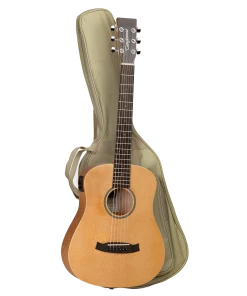National Steel String Tanglewood TW2TSE Winterleaf Traveller Spruce W/ PickUp & Bag