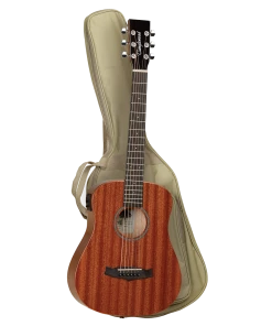 National Tanglewood TW2TXE Winterleaf Traveller Mahogany W/ PickUp & Bag