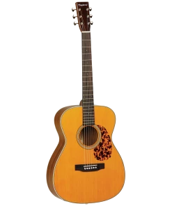 National Tanglewood 40OANE Sundance Historic Orchestra With ABS Case Steel String