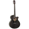 National Steel String Tanglewood TW4BS Winterleaf Super Folk C/E Black Shadow