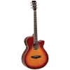 National Tanglewood TW4SB Winterleaf Super Folk C/E Sunburst