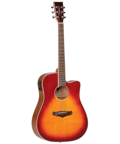 National Tanglewood TW5SB Winterleaf Dreadnought C/E Sunburst