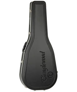 National Tanglewood 70TE Sundance Performance Pro Orchestra With ABS Case Steel String 9 National Tanglewood 70TE Sundance Performance Pro Orchestra With ABS Case Steel String