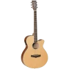 National Tanglewood TW9 Winterleaf Folk C/E Acoustic Guitar