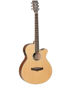 National Tanglewood TW9 Winterleaf Folk C/E Acoustic Guitar