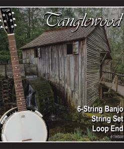 National Tanglewood TWBS6 Banjo 6-String Set - Loop End