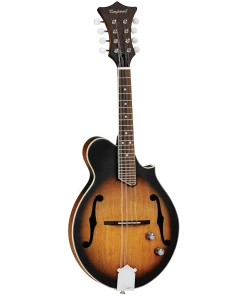 National Folk Tanglewood Mandolin Scroll Spruce Top Vintage Sunburst