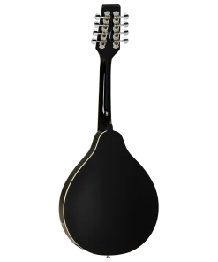 National Folk Union Series Mandolin Black With Pickup