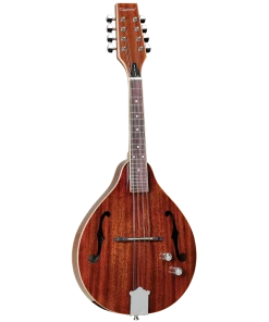 National Tanglewood TWMTMHSTE Solid Mahogany Top Mandolin With Pickup