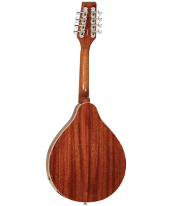 National Tanglewood TWMTMHSTE Solid Mahogany Top Mandolin With Pickup