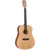 National Tanglewood TWR2DE Roadster II Dreadnought With Pickup