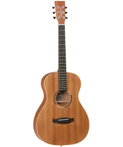 National Steel String Tanglewood TWR2P Roadster II Parlour