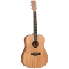 National Tanglewood TWUD Union Dreadnought Solid Top Acoustic