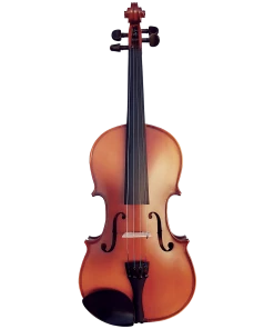 National Violas Vivo Neo 14" Student Viola Outfit