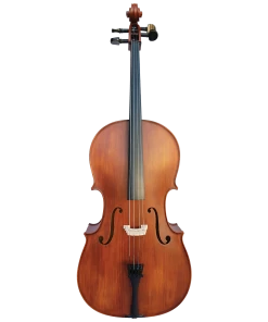 National Cellos Vivo Student 4/4 Cello Outfit With Case