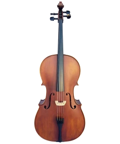 National Cellos Vivo Elite Cello 4/4 Outfit