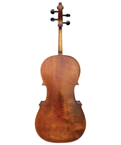 National Cellos Vivo Elite Cello 4/4 Outfit