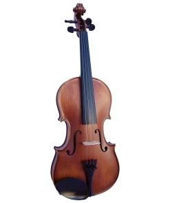 National Violins Vivo Elite 3/4 Violin Outfit