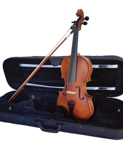 National Violins Vivo Elite 3/4 Violin Outfit