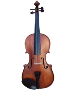 National Violins Vivo Elite 3/4 Violin Outfit