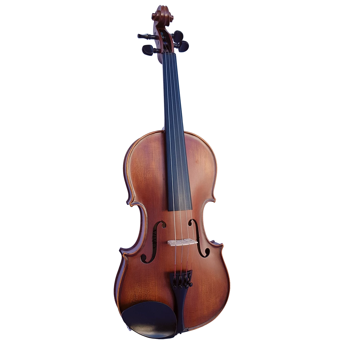 National Violins Vivo Elite 4/4 Violin Outfit 1 National Violins Vivo Elite 4/4 Violin Outfit
