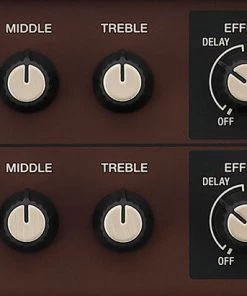 Roland Boss Acoustic Singer Live Gtr Amp Lite