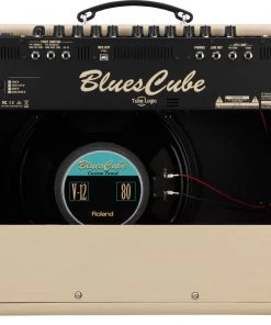 Electric Amps Roland Blues Cube Artist