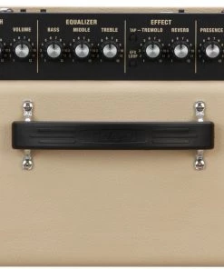 Electric Amps Roland Blues Cube Artist