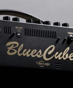 Electric Amps Roland Blues Cube Artist
