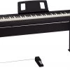 Roland FP10 Black With Stand