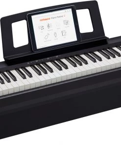 Roland FP10 Black With Stand