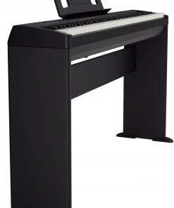 Roland FP10 Black With Stand