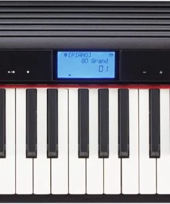 Roland Go:Piano